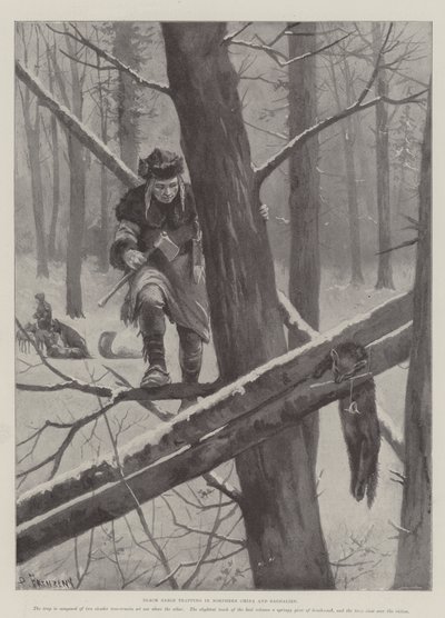 Black Sable trapping in Northern China and Saghalien by Paul Frenzeny